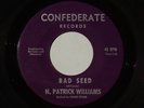 1968 Fuzz Garage Punk 45 N. PATRICK WILLIAMS & INNER PR