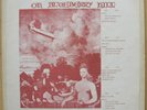 LED ZEPPELIN live on Blueberry hill LED30 2LP rare