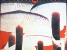 LEATHERFACE MUSH LP UK 1991 Mint