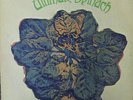 ULTIMATE SPINACH SELF-TITLED LP ORIGINAL MGM SE-4518 ST