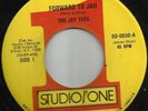THE JAYTEES FORWARD TO JAH       ROOTS  FEMALE  STUDIO 
