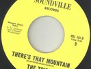 Northern Soul US 45 - THE TRIPS - There's that mountain