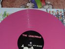 The Unicorns Who Will Cut Our Hair LP pink vinyl island