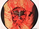 DISMEMBER -Indecent.. PIC-LP 1993 ORIG. carnage grave m
