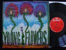 YOUNG FLOWERS Blomsterpistolen Danish 1968 Psych LP Ult