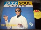 Little Stevie Wonder   