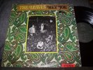 The Leaves   
