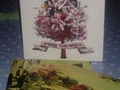 The Bees (Band of Bees) – Free The Bees LP NM