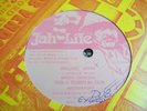 Mikey General WALKER JOHN Jah Life 12