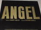 ANGEL Broadway Musical GARY GELD LP VERY RARE PRIVATE