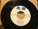 Rick Hall's R&H Records SUPER  RARE Del-Rays single cut