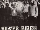 Silver Birch - S/T 1974 UK Brayford LP. Ex