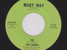 '66 Illinois Kiddy Punk COBRAS Try/Good Bye MILKY WAY 