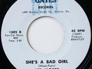 Funk Deep Soul 45 LEE MOSES shes a bad girl GATES mp3