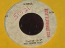 Beach Boys  Surfer Girl  Acetate