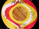 Killer 1960s Garage 45 - THE WHAT-NOTS  