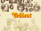 TRUBROT 1969 PSYCH ICELAND SHADOKS LP