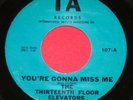 THE THIRTEENTH FLOOR ELEVATORS 