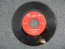 THE LEMON DROPS 1967 CHICAGO GARAGE 45 I LIVE IN THE SPRINGTIME / LISTEN GIRL