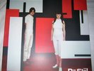 The White Stripes SFTRI De Stijl LP autographed MINT original pressing