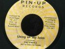 PALEMINA  / LIVING ON SKY JUICE (PIN-UP)  CLIP?
