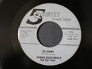 DONNIE MARTINDALE & THE STARFIRES  GARAGE/ROCKABILLY ON