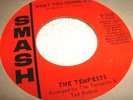 the TEMPESTS 