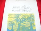 JOEL VANDROOGENBROECK 'IMAGES OF FLUTE IN NATURE' OG LP CENACOLO MINT