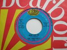 Original Garage Punk 45's THE UNDECIDED? 