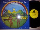 GADFREY LEWIS - LET THE MESSAGE PLAY / LP  ROOTS KILLER 