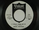 DENNY PROVISOR rock/garage 45 IT REALLY TEARS ME UP/SHE'S NOT MINE ANYMORE VG+