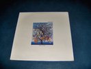 Talk Talk Lp  Spirit of eden Sealed