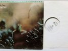 MFSL – STEELY DAN Katy Lied LP Mobile Fidelity