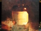 Blackfield 1st Album Original Steve Wilson Porcupine Tree 2 LP Prog Psych LP