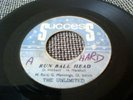 TIME UNLIMITED   RUN BALD HEAD RUN (( PROPAGANDA)) V RARE ROOTS