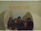Orphan Egg Orig Garage Psych Fuzz Monster S/T 1968 GNP Crescendo Hear