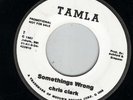 CHRIS CLARK - SOMETHINGS WRONG
