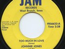 HEAR- Rare Teen / Rock n Roll 45- Johnnie Jones & Swaydes- Fredlo Custom Records