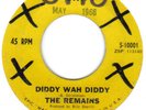 RARE   GARAGE 45   THE REMAINS   DIDDY WAH DIDDY    EPIC