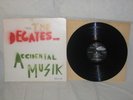 THE DECAYES Accidental Musik LP Imgrat Orig EXPERIMENTAL Avant NWW