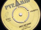 THE MAYTALS/SKINHEAD REGGAE/PYRAMID PYR6074/1969..EX.....LISTEN