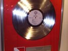 Van Halen Diver Down platin Schallplatte goldene