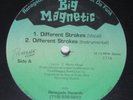 BIG MAGNETIC Different Strokes / Who Got Da Flow 12
