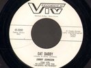 ROCKABILLY 45 Jimmy Johnson CAT DADDY on VIV 3000 clean