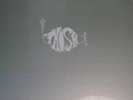 PHISH WHITE TAPE LP SEALED MINT NOT POSTER POLLOCK FREE JEMP BAG SUPER BALL