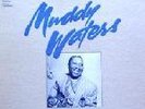 Muddy Waters Chess Box Set     6-LP in near mint condition
