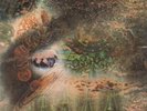PINK FLOYD - A SAUCERFUL OF SECRETS - SEALED - IMPORT