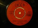YOU'RE WONDERING NOW- ANDY & JOEY    SKA CLASSIC IN BEAUTIFUL CONDITION - LISTEN
