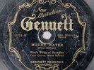 BLACK BIRDS OF PARADISE Gennett 6211 RARE 78 One of the Rarest 78s in the World