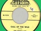 TINY GRIMES & ROCKING HIGHLANDERS Call of the Wild 45rpm Gotham 1956